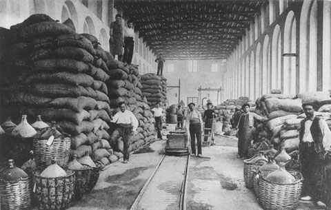 Magatzem i dipòsit de corozo, una espècie de castanya sud-americana que sanomenava popularment 'coco'. 1910-1920