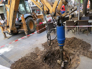 Renovació de til·lers a la Rambla de la Llibertat. Plantat de nous exemplars