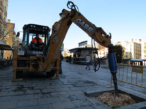 Renovació de til·lers a la Rambla de la Llibertat. Plantat de nous exemplars