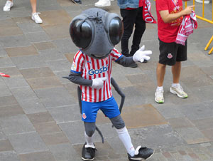 Ascens del Girona FC i el B&agrave;squet Girona. Rebuda a la pla&ccedil;a del Vi