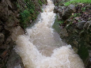 La crescuda del Galligants el dijous 23 de gener 2020 a conseq&uuml;&egrave;ncia del temporal Gloria