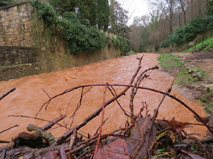 La crescuda del Galligants el dijous 23 de gener 2020 a conseq&uuml;&egrave;ncia del temporal Gloria