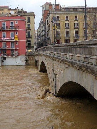 L'Onyar al pont de Pedra (22/01/2020)