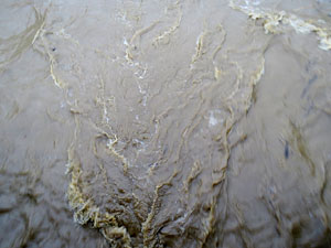 La crescuda de l'Onyar