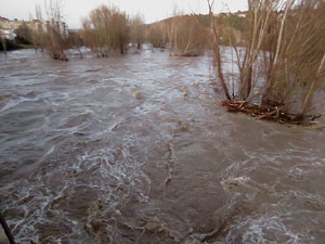 La crescuda del Ter el dijous 23 de gener 2020 a conseq&uuml;&egrave;ncia del temporal Gloria