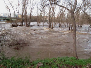 La crescuda del Ter el dijous 23 de gener 2020 a conseq&uuml;&egrave;ncia del temporal Gloria