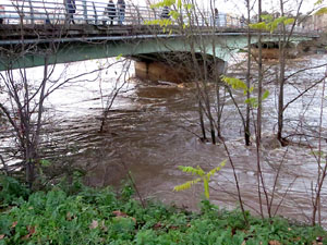 La crescuda del Ter el dijous 23 de gener 2020 a conseq&uuml;&egrave;ncia del temporal Gloria