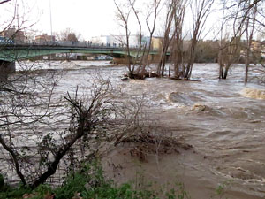 La crescuda del Ter el dijous 23 de gener 2020 a conseq&uuml;&egrave;ncia del temporal Gloria