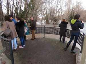 La crescuda del Ter el dijous 23 de gener 2020 a conseq&uuml;&egrave;ncia del temporal Gloria