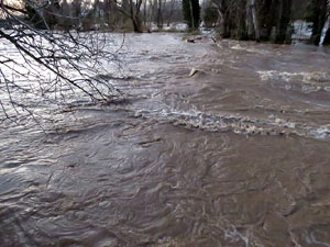 La crescuda del Ter el dijous 23 de gener 2020 a conseq&uuml;&egrave;ncia del temporal Gloria