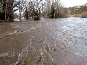 La crescuda del Ter el dijous 23 de gener 2020 a conseq&uuml;&egrave;ncia del temporal Gloria