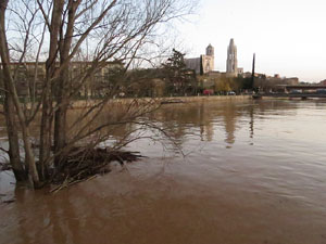 La crescuda del Ter el dijous 23 de gener 2020 a conseq&uuml;&egrave;ncia del temporal Gloria