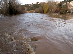 La crescuda del Ter el dijous 23 de gener 2020 a conseq&uuml;&egrave;ncia del temporal Gloria