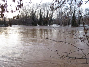 La crescuda del Ter el dijous 23 de gener 2020 a conseq&uuml;&egrave;ncia del temporal Gloria