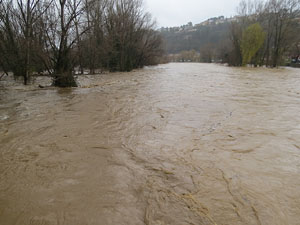 La crescuda del Ter el dijous 23 de gener 2020 a conseq&uuml;&egrave;ncia del temporal Gloria