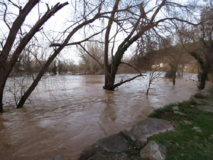 La crescuda del Ter el dijous 23 de gener 2020 a conseq&uuml;&egrave;ncia del temporal Gloria
