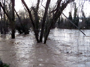 La crescuda del Ter el dijous 23 de gener 2020 a conseq&uuml;&egrave;ncia del temporal Gloria