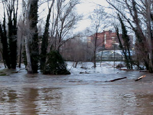 La crescuda del Ter el dijous 23 de gener 2020 a conseq&uuml;&egrave;ncia del temporal Gloria