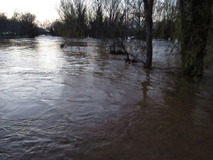 La crescuda del Ter el dijous 23 de gener 2020 a conseq&uuml;&egrave;ncia del temporal Gloria