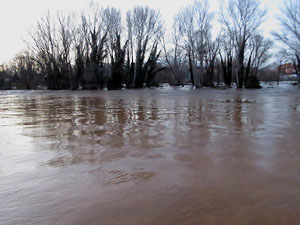 La crescuda del Ter el dijous 23 de gener 2020 a conseq&uuml;&egrave;ncia del temporal Gloria