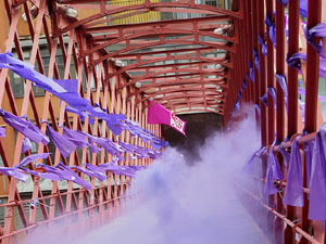Commemoraci&oacute; del Dia de la Dona 2021 al pont de les Peixateries Velles