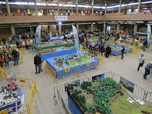 3a. Fira de Playmobil de Girona 2018