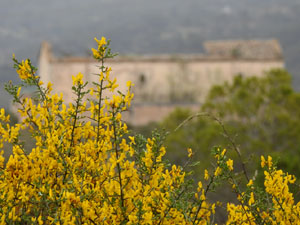 Senyalitzaci&oacute; d'espais naturals i patrimonials