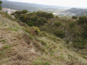 Senyalitzaci&oacute; d'espais naturals i patrimonials