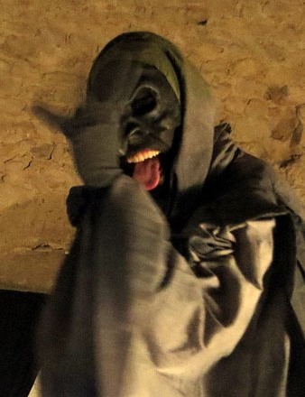 La bruixa de la Catedral durant la presentaci&oacute;