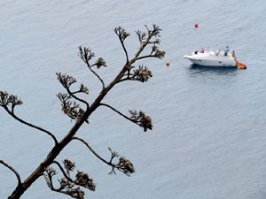 Sant Feliu de Gu&iacute;xols