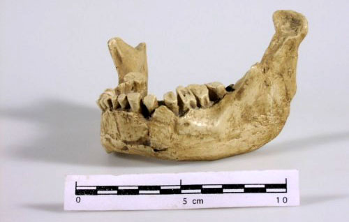 La mandíbula neandertal de Banyoles (45-66.000 aC)