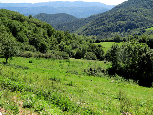 Paisatge del Ripollès des d'Ogassa