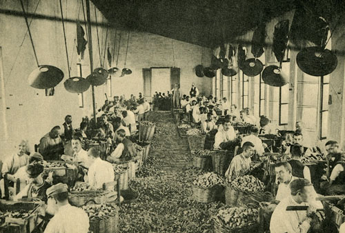 F&agrave;brica de taps. 1903