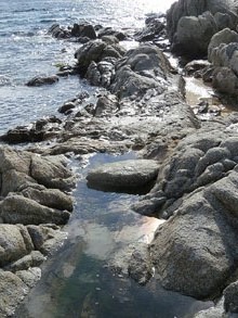 Roques a Calella de Palafrugell