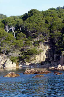 Cala d'Aigua Xelida