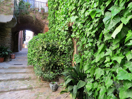 El Carrer&oacute;. Pas i porta d'entrada a l'antic Castell d'Angl&egrave;s. Dins el seu tra&ccedil;at s'hi conserva una petita arcada i alguna resta a&iuml;llada de la porta