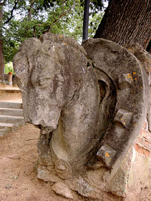 Detall de la font de la Vaca