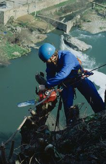 Neteja de bardisses al cingle. 1989